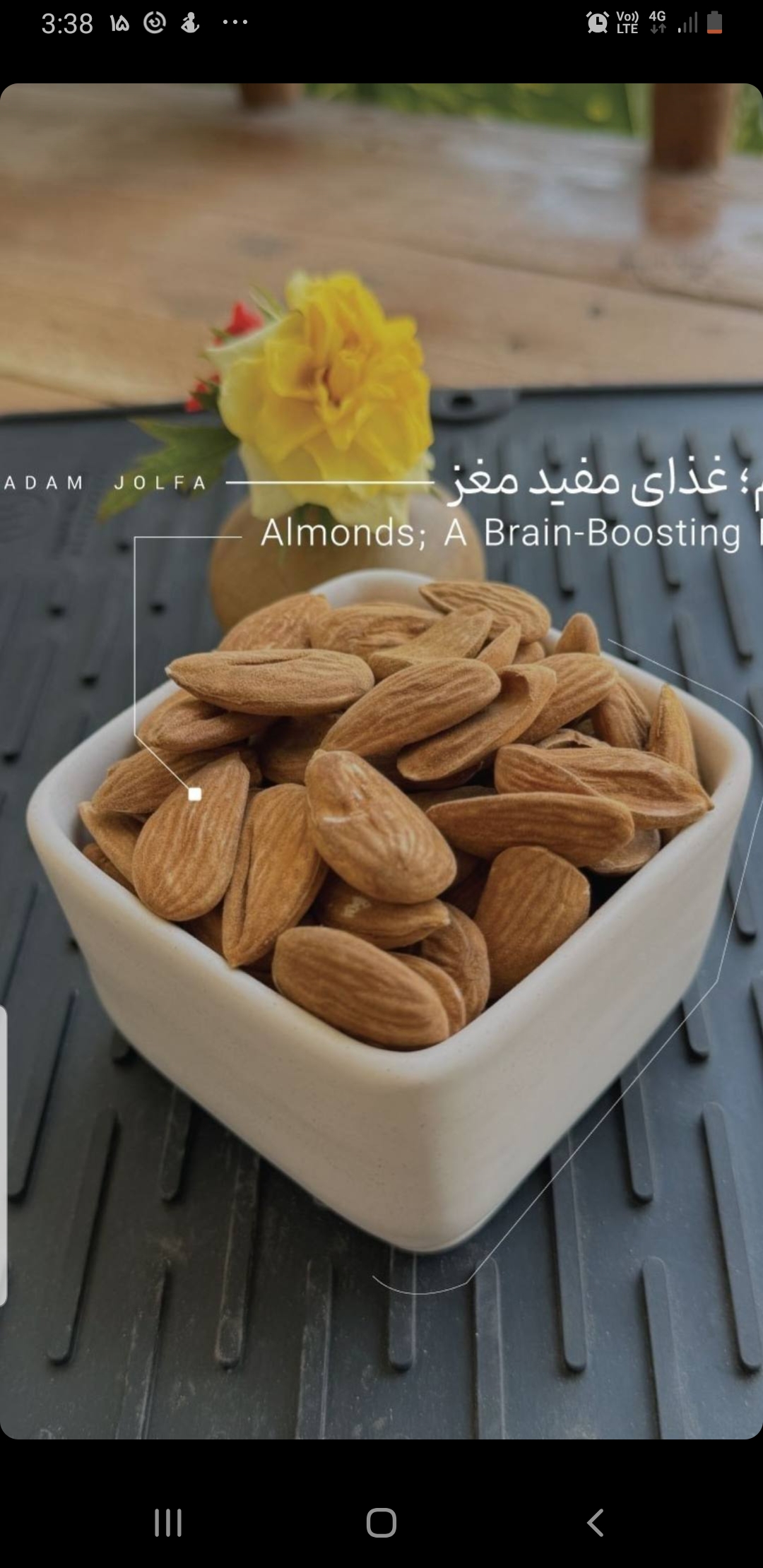 Walnuts and Manqa Almonds