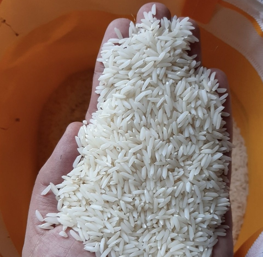 Premium Hashemi Rice