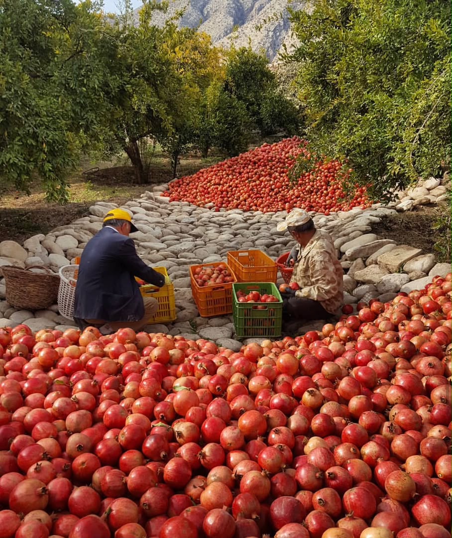 Wonderful local pomegranate paste