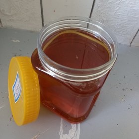 Premium Mountain Honey