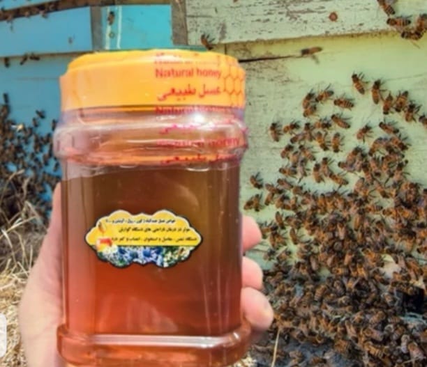 Mountain Honey