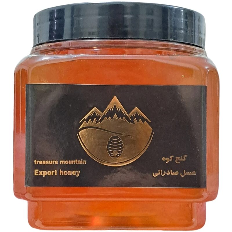 عسل چهل گیاه گنج کوه